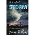 A Perfect Storm: A Lesbian Mystery Romance