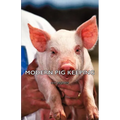 Modern Pig Keeping