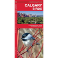 Calgary Birds: A Folding Pocket Guide to Familiar Species