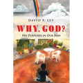 Why, God? His Purposes in Our Pain
