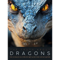 The Truth About Dragons: The Ultimate Illustrated Art Guide for Fantasy Lovers
