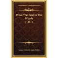 What Was Said In The Woods (1851)