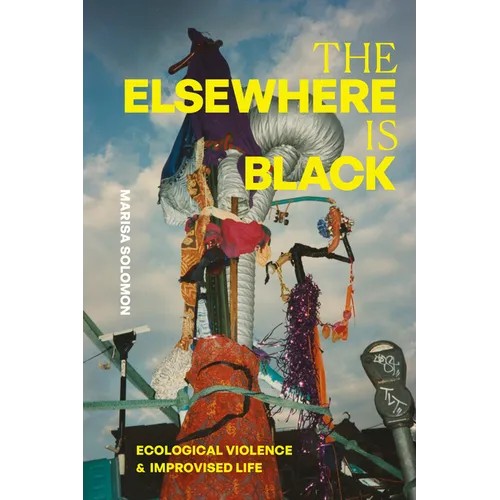 The Elsewhere Is Black: Ecological Violence and Improvised Life