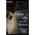 Wild Life on the Rockies