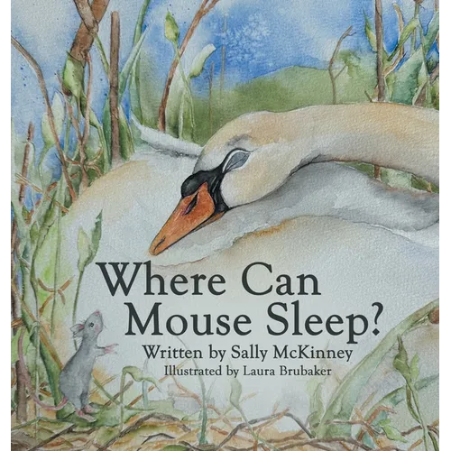 Where Can Mouse Sleep?