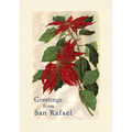 Vintage Lined Notebook Greetings from San Rafael, California