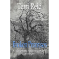 Broken Promises: A Mary O'Reilly Paranormal Mystery - Book Eight
