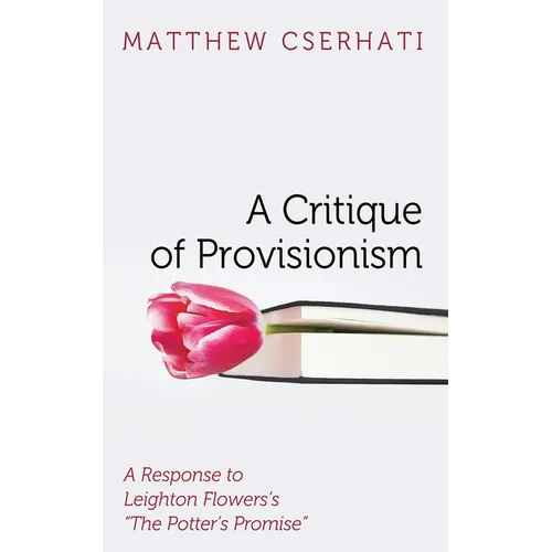 A Critique of Provisionism