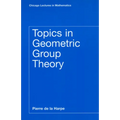Topics in Geometric Group Theory
