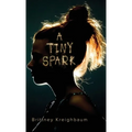 A Tiny Spark