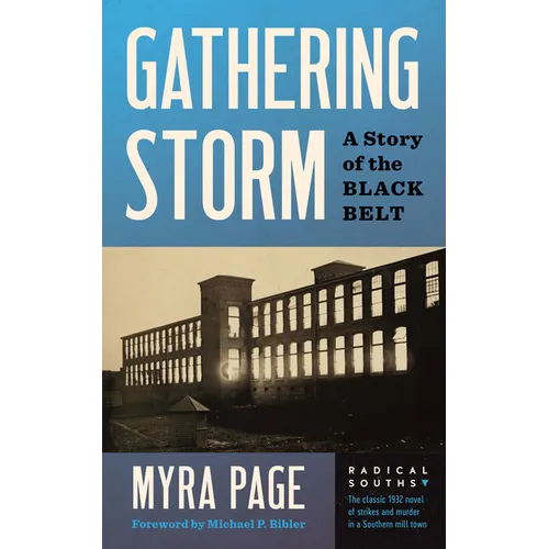 Gathering Storm: A Story of the Black Belt