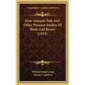 How Animals Talk And Other Pleasant Studies Of Birds And Beasts (1919)