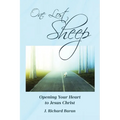 One Lost Sheep: Opening Your Heart to Jesus Christ