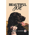 Beautiful Joe