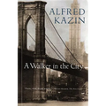 A Walker in the City