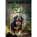 Bernese Mountain Dogs Big Cuddles: A Picturebook for Young Readers