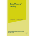 Body, Meaning, Healing