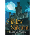 In the Shadow of the Sanctum