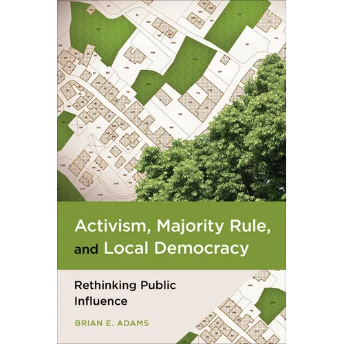 Activism, Majority Rule, and Local Democracy: Rethinking Public Influence