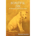 Beautiful Joe