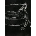 my lungs are a divebar