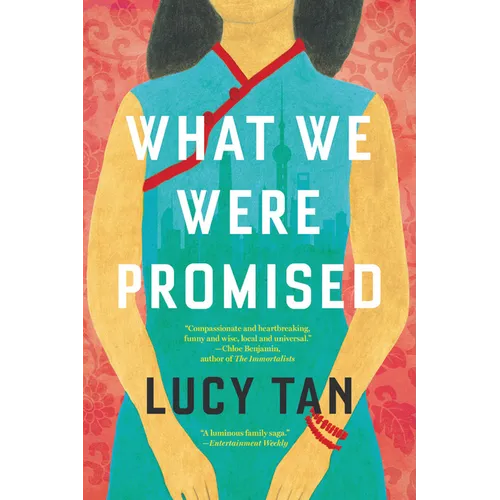 What We Were Promised
