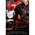 The Last Dragon