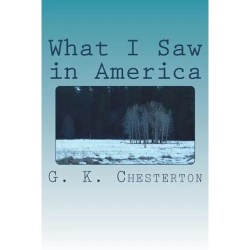 What I Saw in America