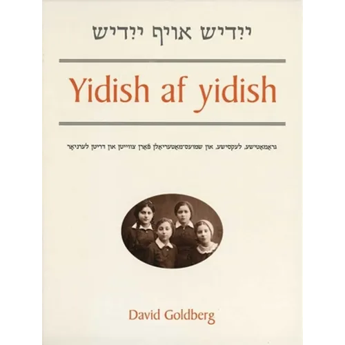 Yidish AF Yidish: Grammatical, Lexical, and Conversational Materials for the Second and Third Years of Study