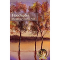 Floodwater