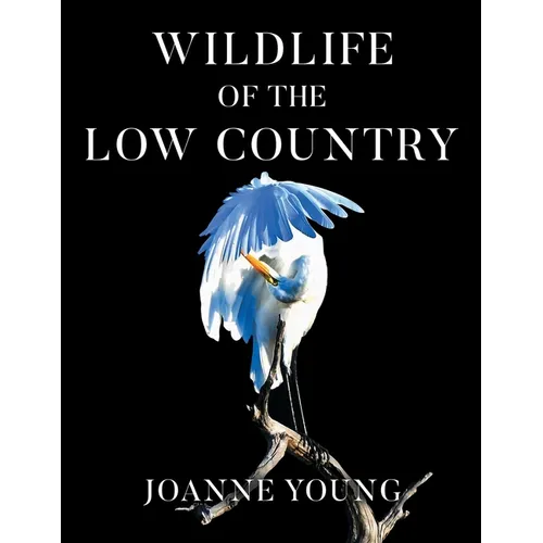 Wildlife of the Low Country