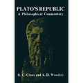 Plato's Republic: A Philosophical Commentary