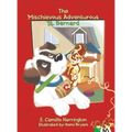 The Mischievous Adventurous St. Bernard