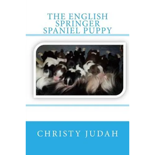 The English Springer Spaniel Puppy