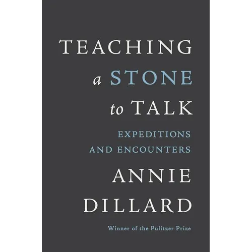 Teaching a Stone to Talk: Expeditions and Encounters
