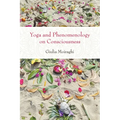 Yoga and Phenomenology on Consciousness