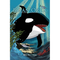 Brian Orca: A fable in novella form
