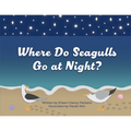 Where Do Seagulls Go at Night?