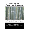 Meridian Circuit Systems: A Channel Based Approach to Pattern Identification