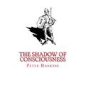 The Shadow of Consciousness: A Little Less Wrong