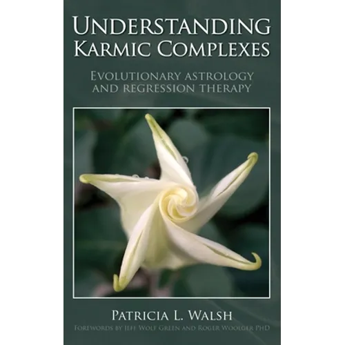 Understanding Karmic Complexes