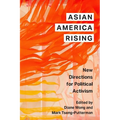 Asian America Rising: New Directions for Political Activism