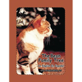 The Bean Family Tree: In English and Spanish