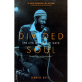 Divided Soul: The Life of Marvin Gaye