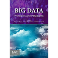 Big Data: Principles and Paradigms