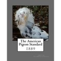 The American Pigeon Standard