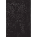 Black Square: Malevich and the Origin of Suprematism