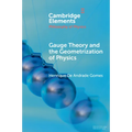 Gauge Theory and the Geometrisation of Physics
