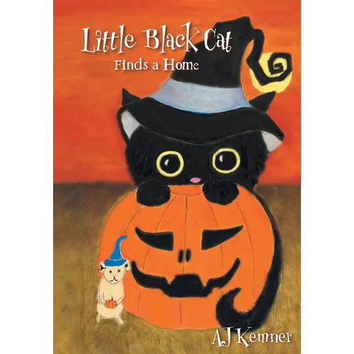 Little Black Cat Finds a Home