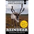 Reindeer: Crowned Deer of the North Pole